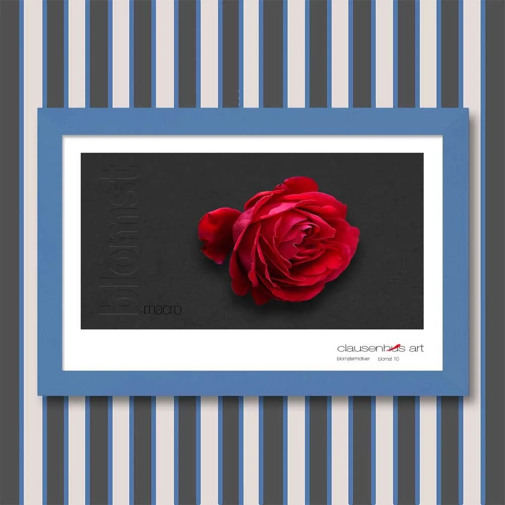 blomst-10.jpg