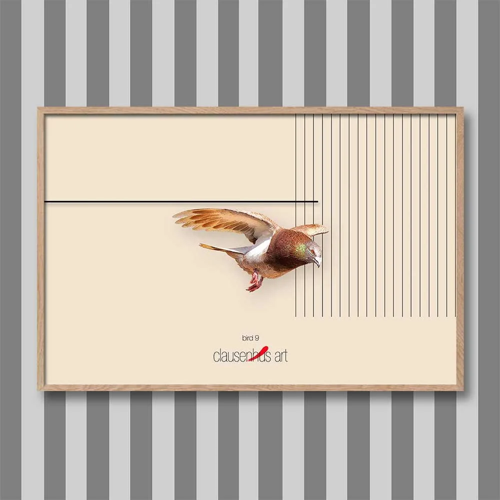 bird-9.jpg