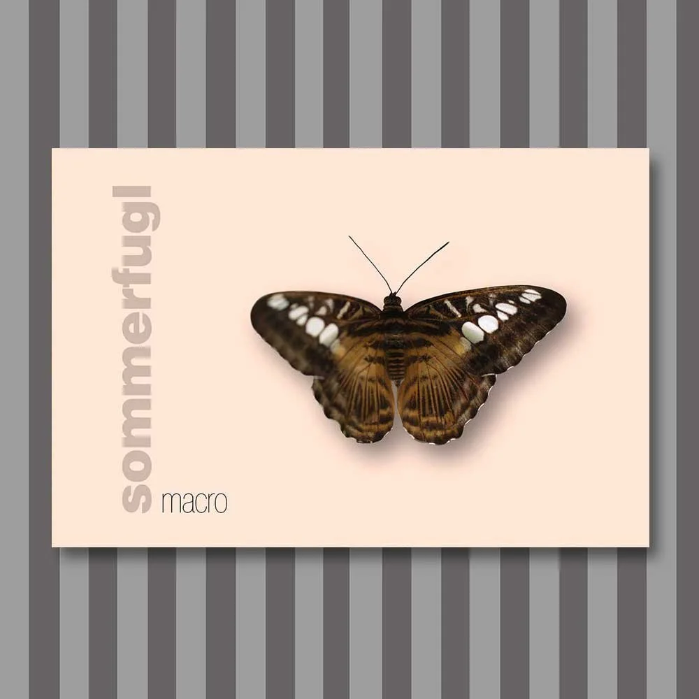 sommerfugl-13.jpg