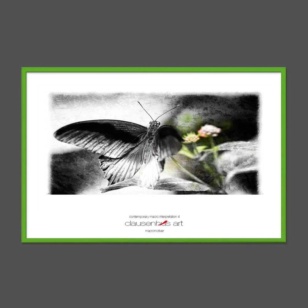 contemporary-macro-interpretation-4-copy.jpg