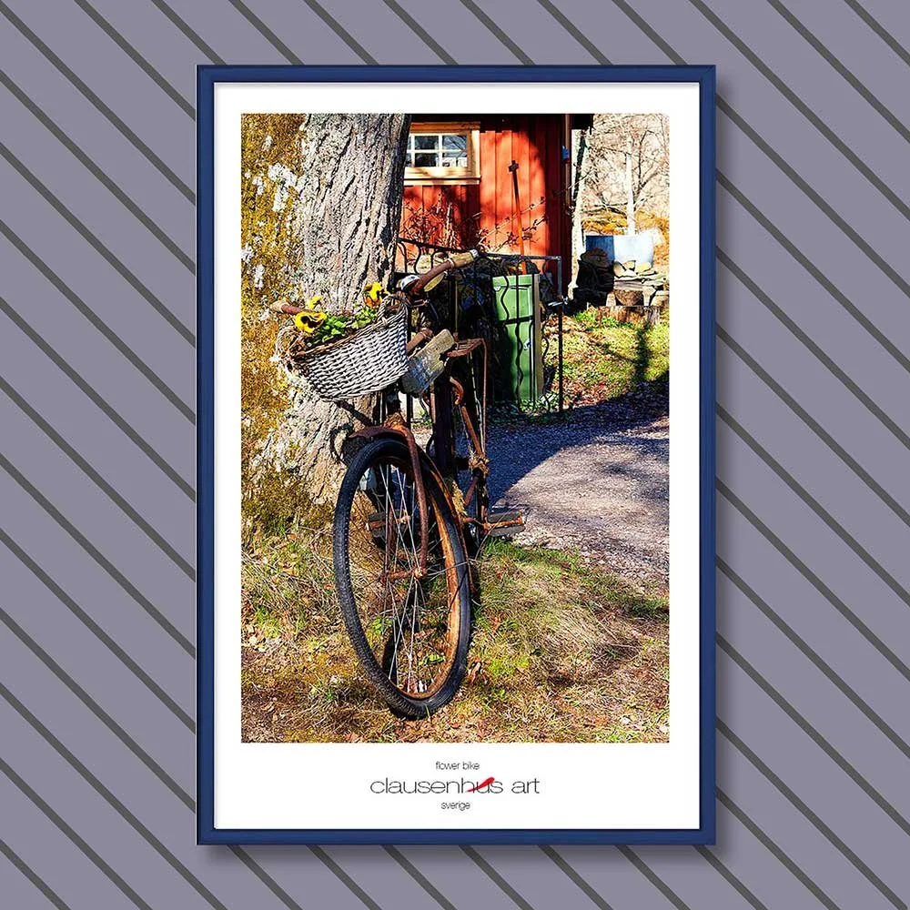 flower-bike-copy.jpg