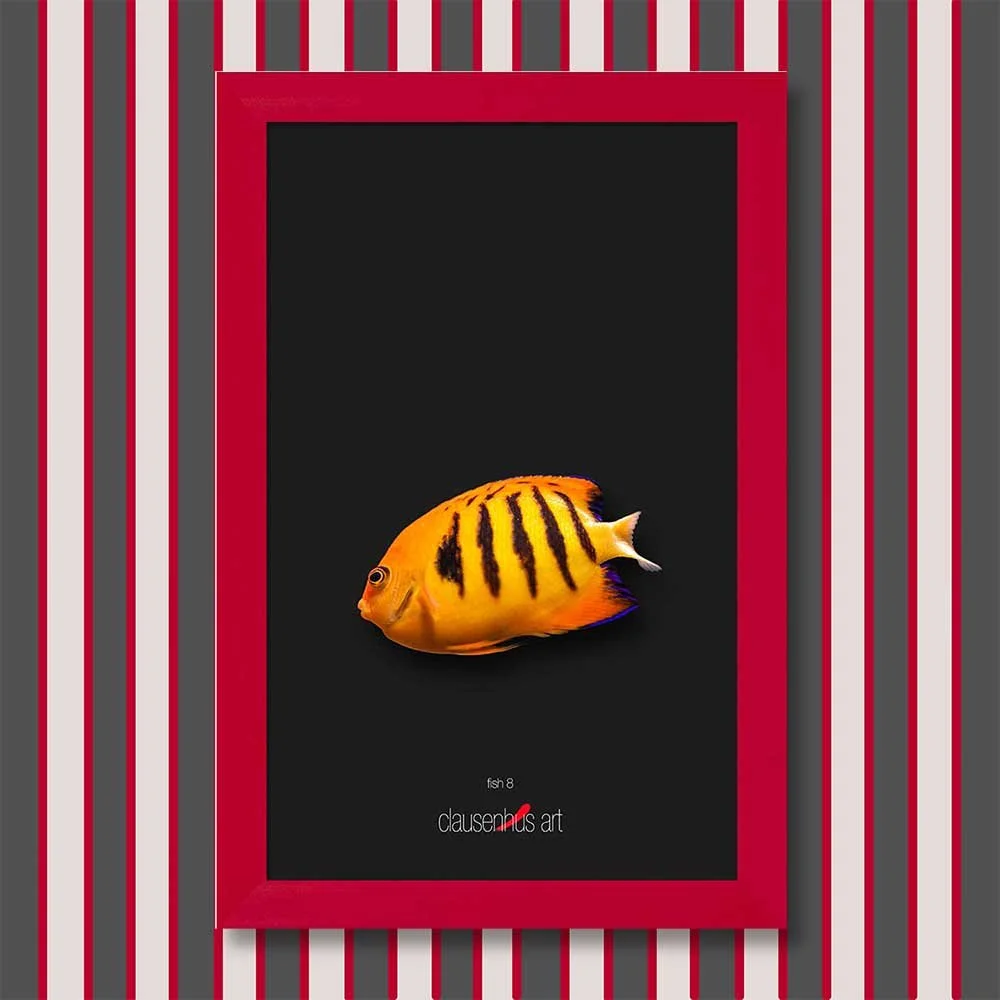 fish-8-copy.jpg