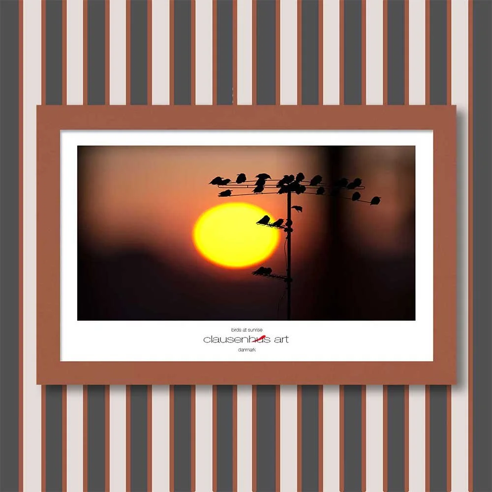 birds-at-sunrise-copy.jpg