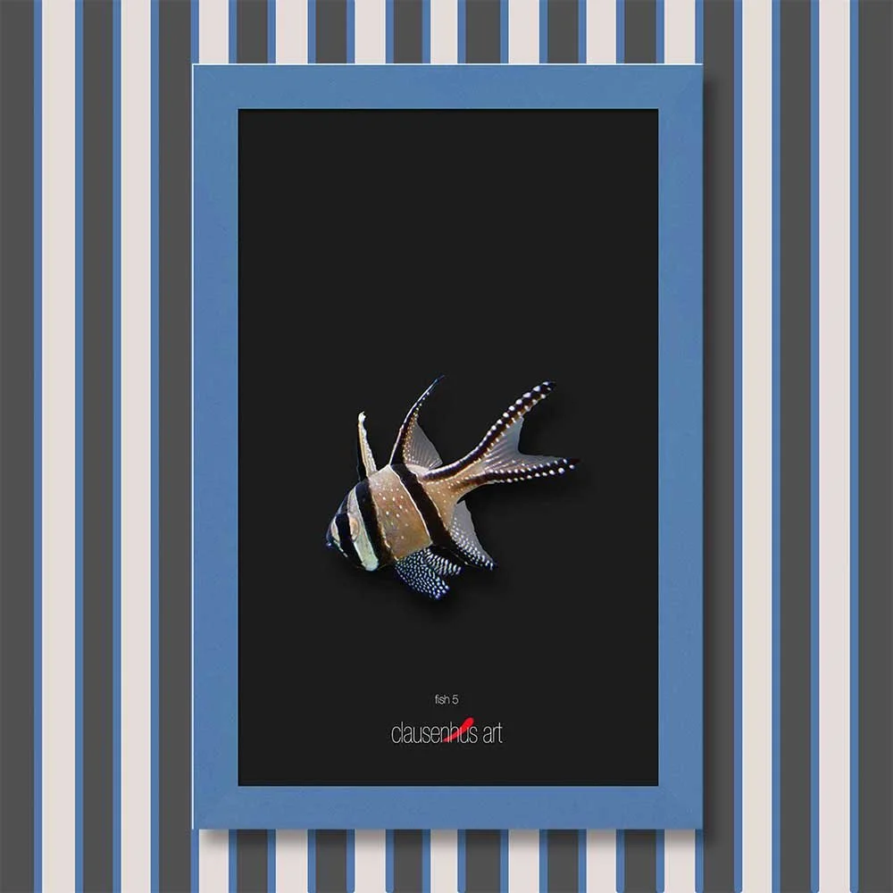 fish-5-copy.jpg