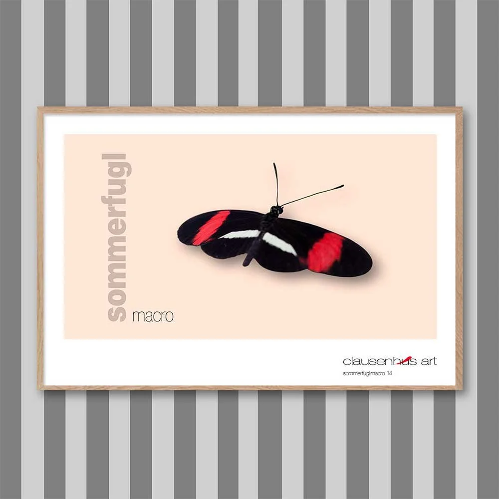 sommerfugl-14-copy.jpg