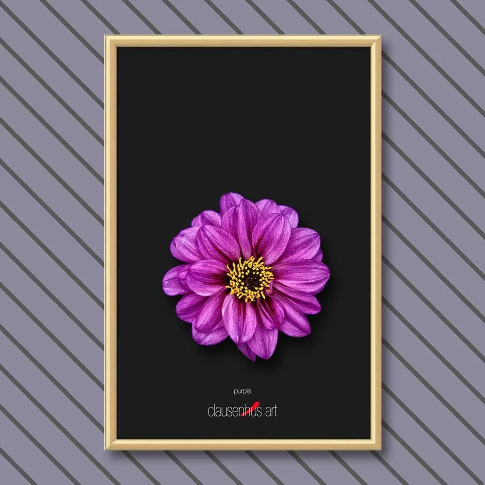 purple-copy.jpg