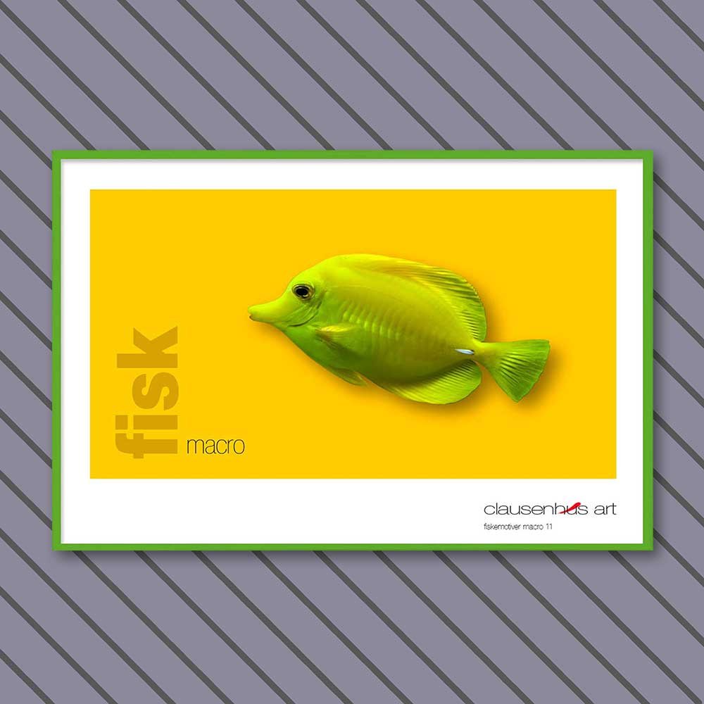 fiskemotiv-11-copy.jpg