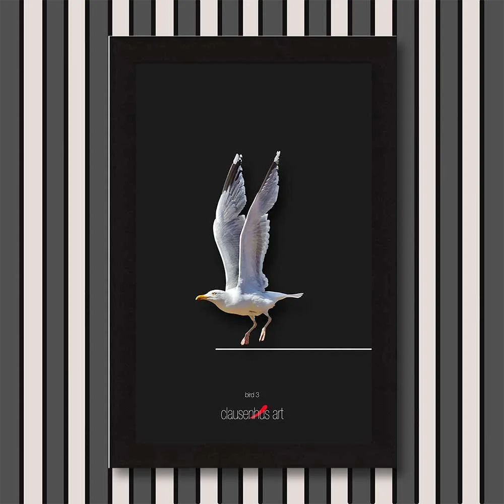 bird-3-copy.jpg