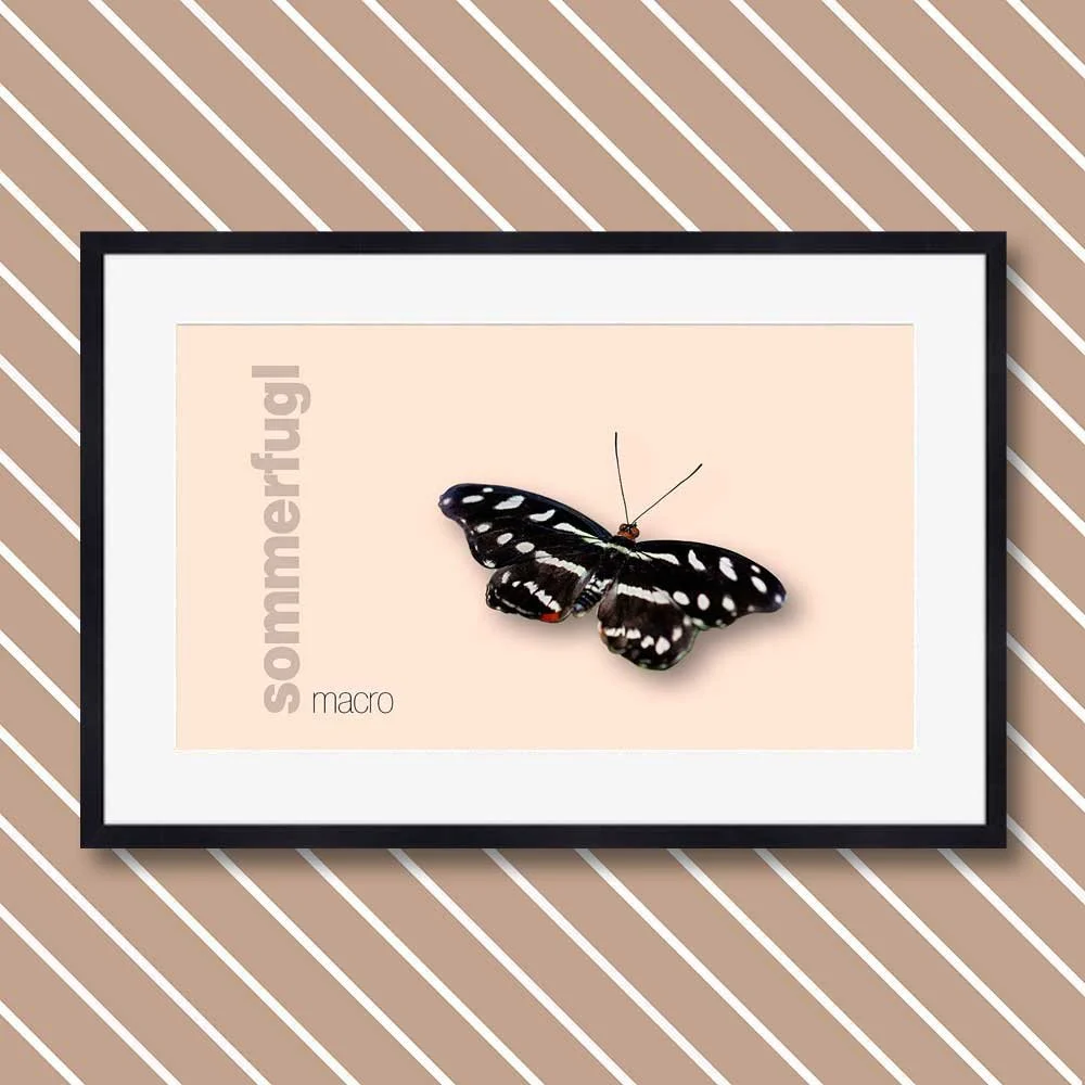 sommerfugl-10.jpg