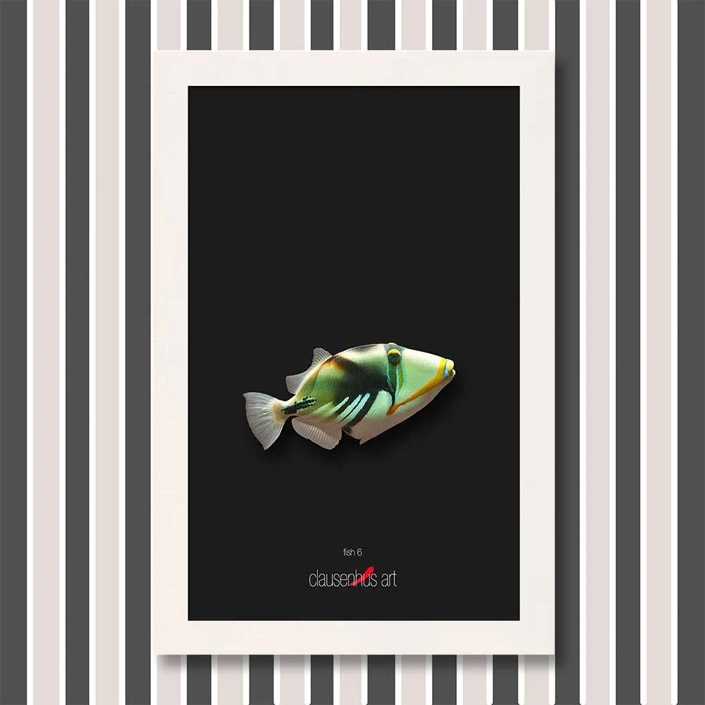 fish-6-copy.jpg