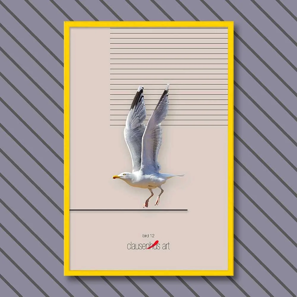 bird-12-copy.jpg