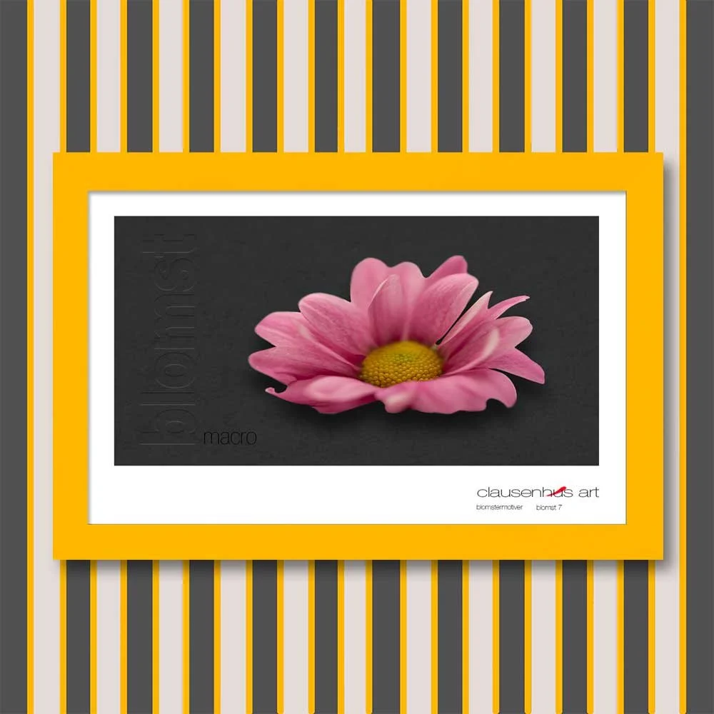 blomst-7.jpg