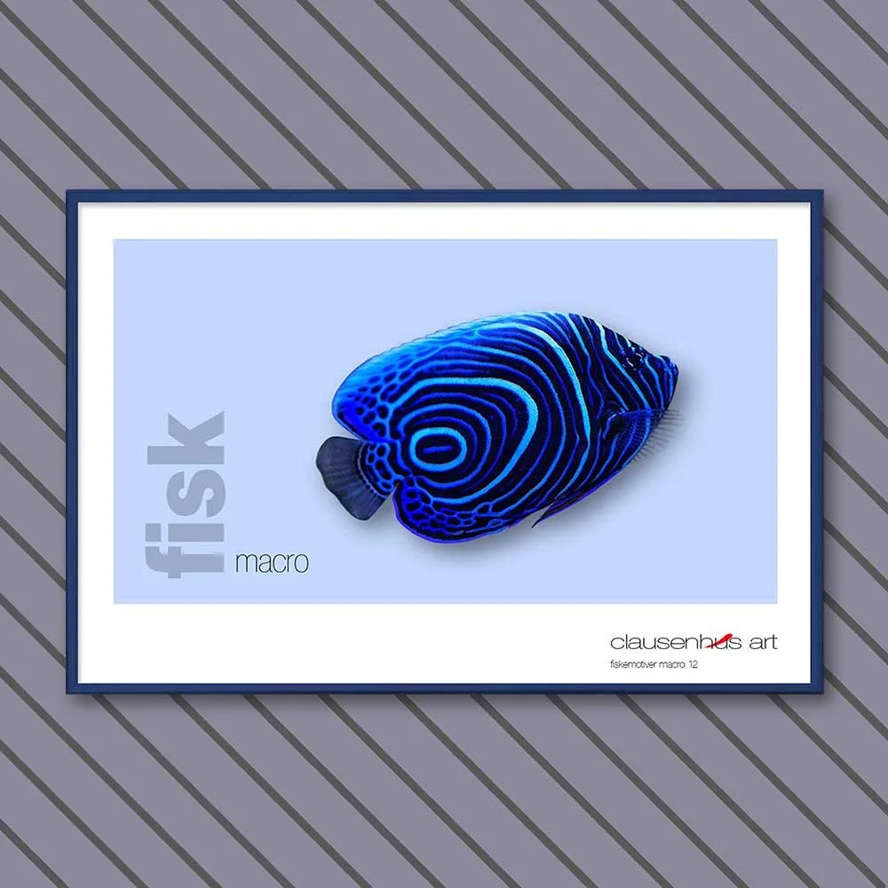fiskemotiv-12-copy.jpg