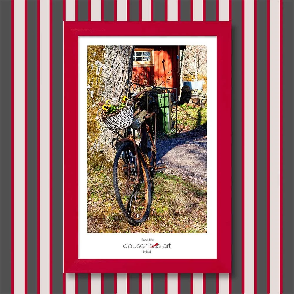 flower-bike-copy.jpg