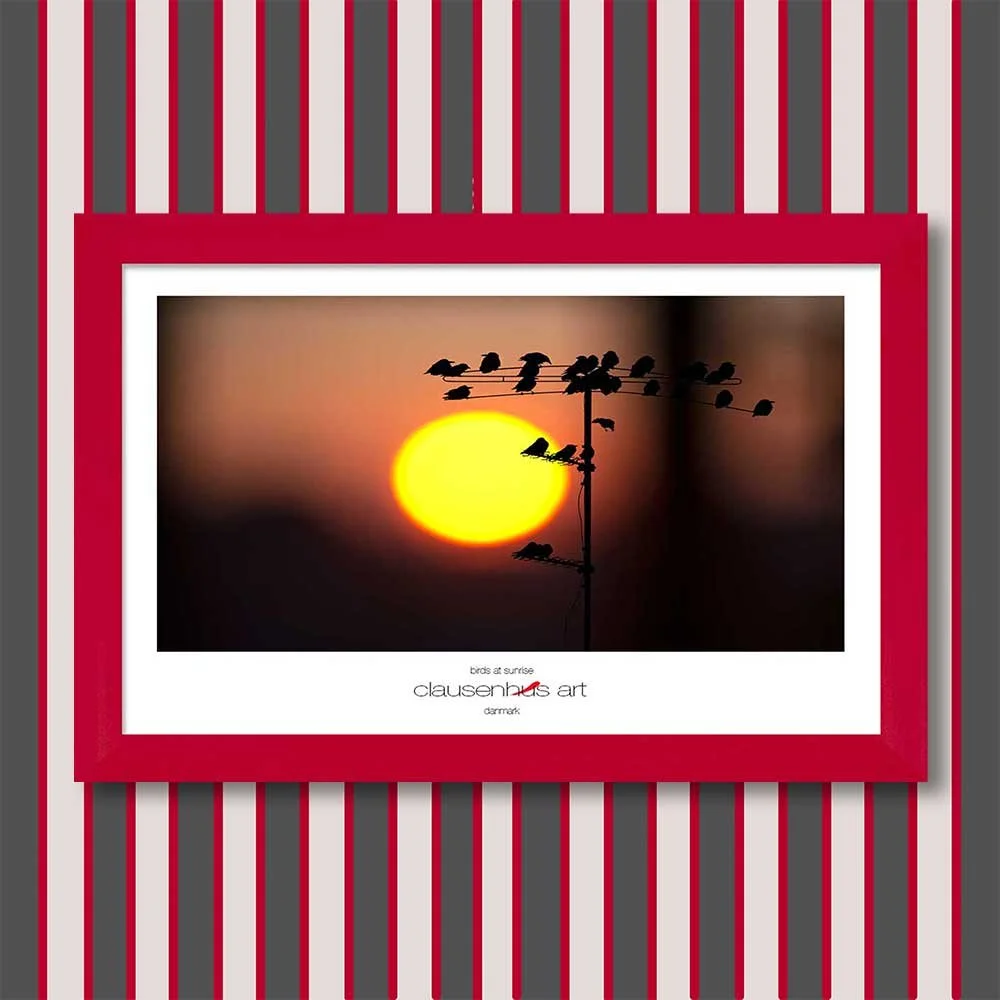 birds-at-sunrise-copy.jpg
