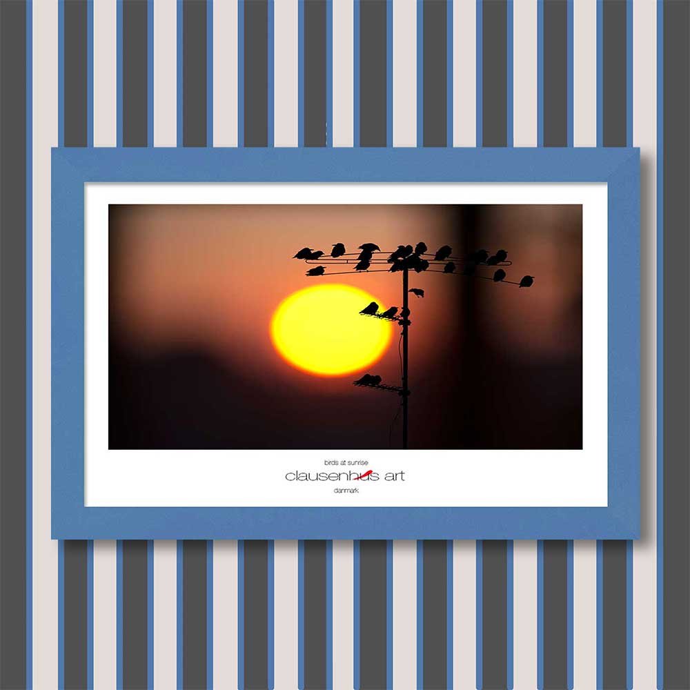 birds-at-sunrise-copy.jpg