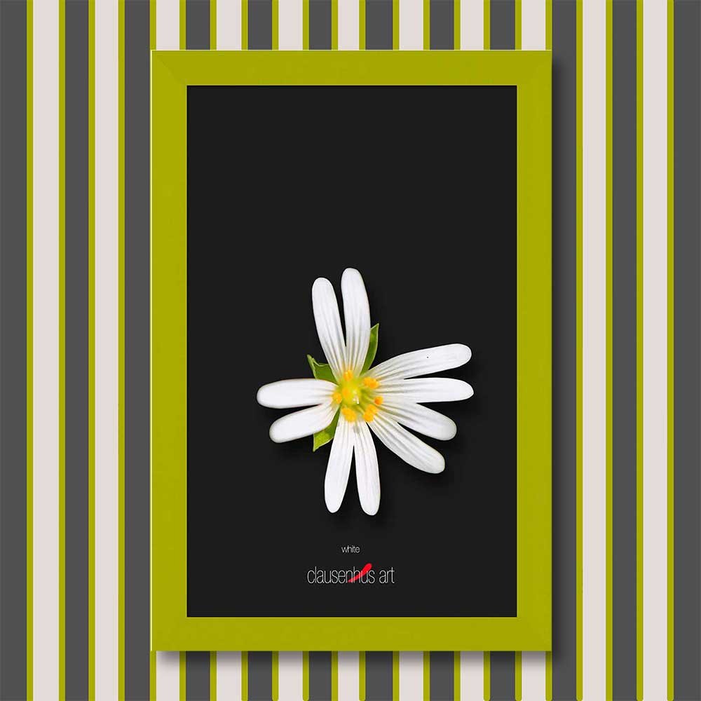 white-copy.jpg