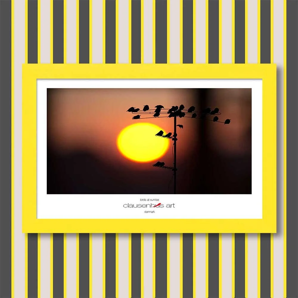 birds-at-sunrise-copy.jpg