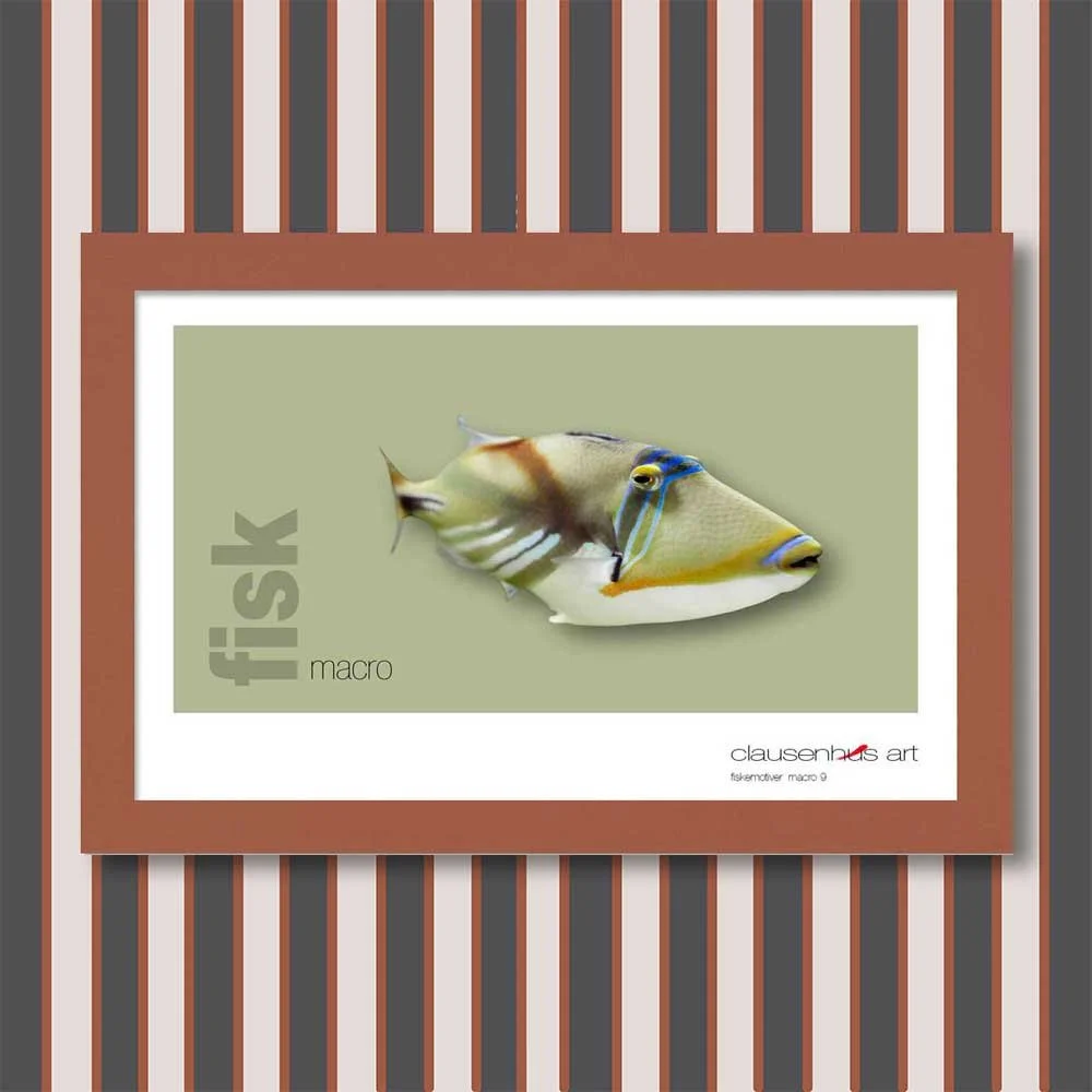 fiskemotiv-9-copy.jpg