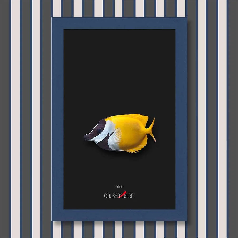 fish-3-copy.jpg