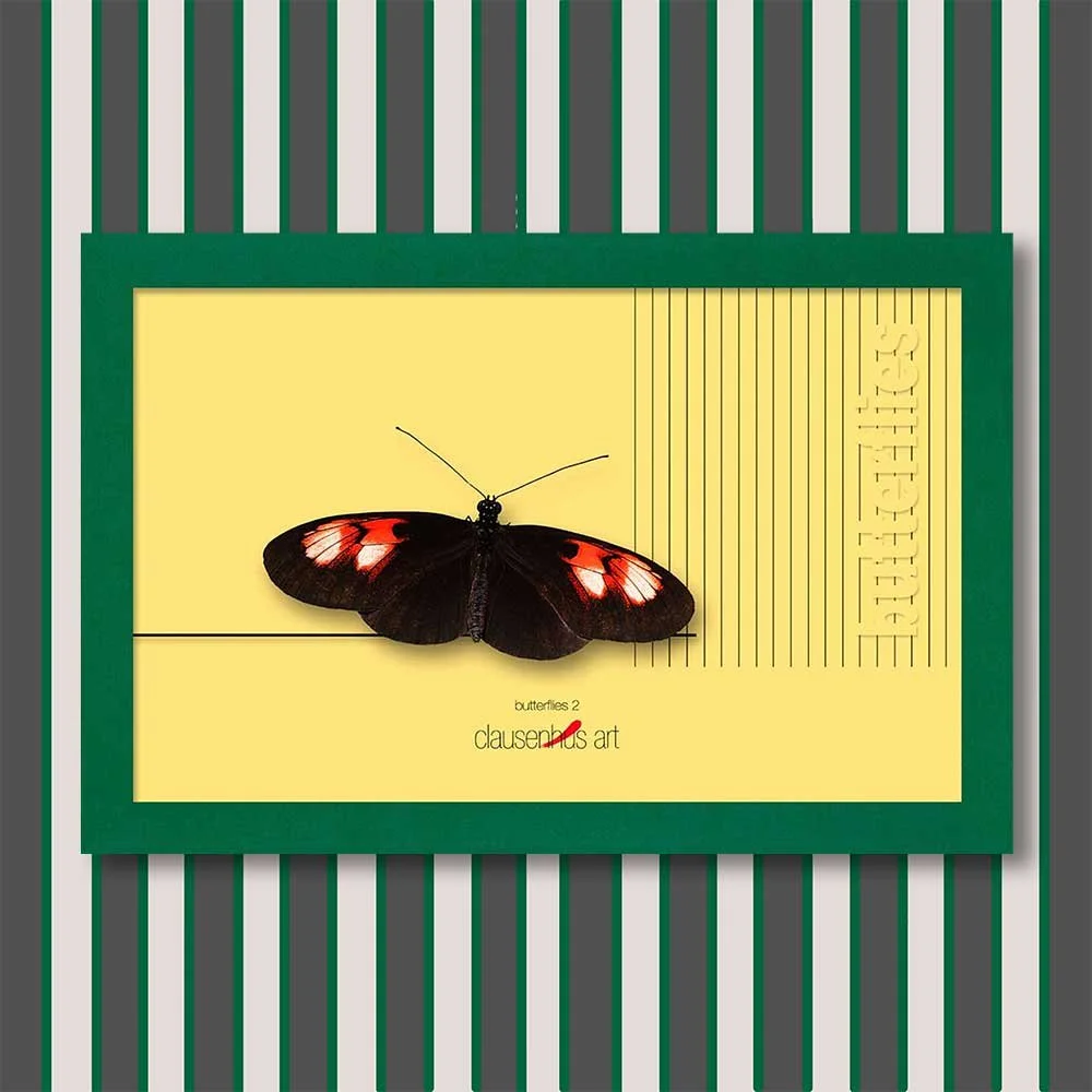 butterflies-2-copy.jpg