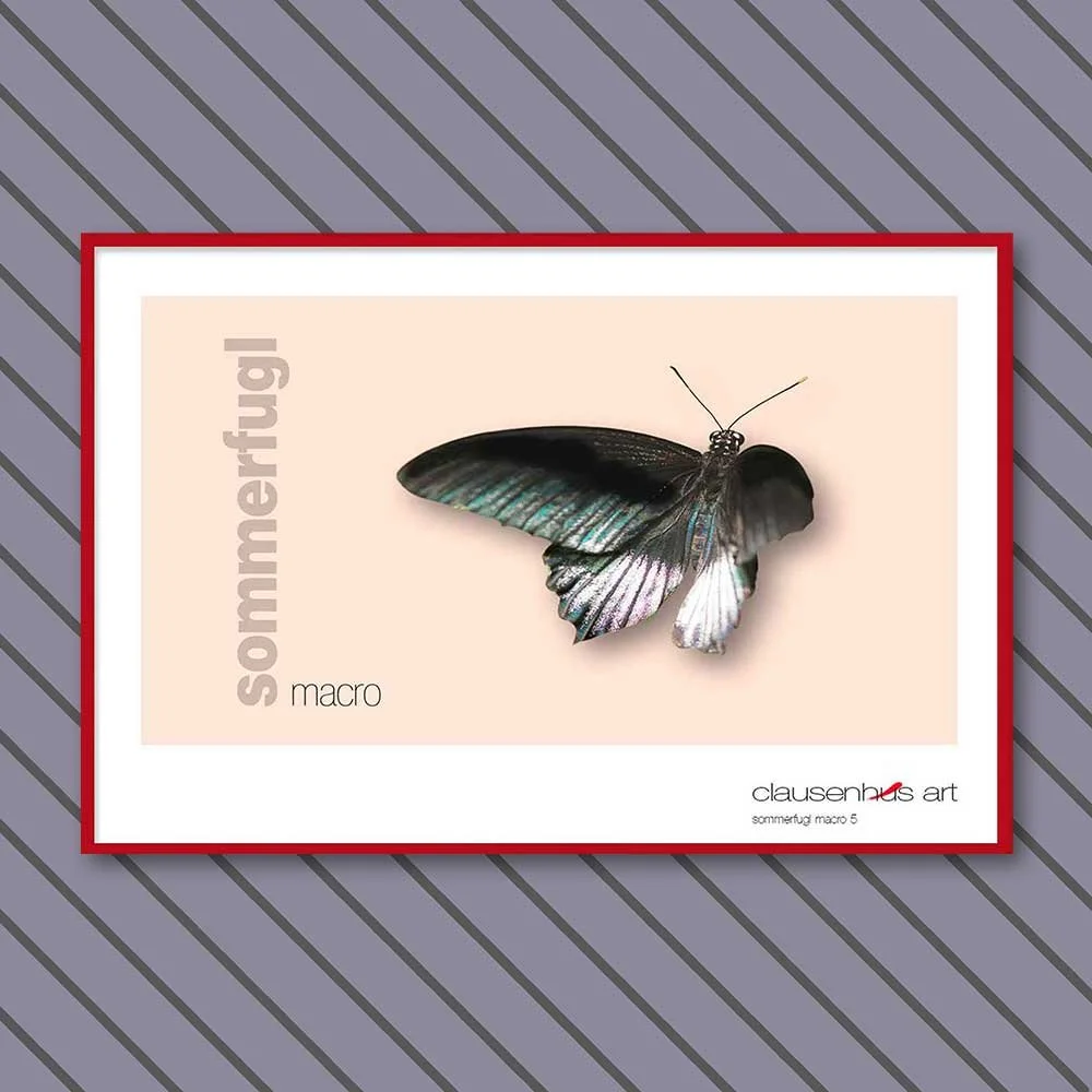 sommerfugl-5-copy.jpg