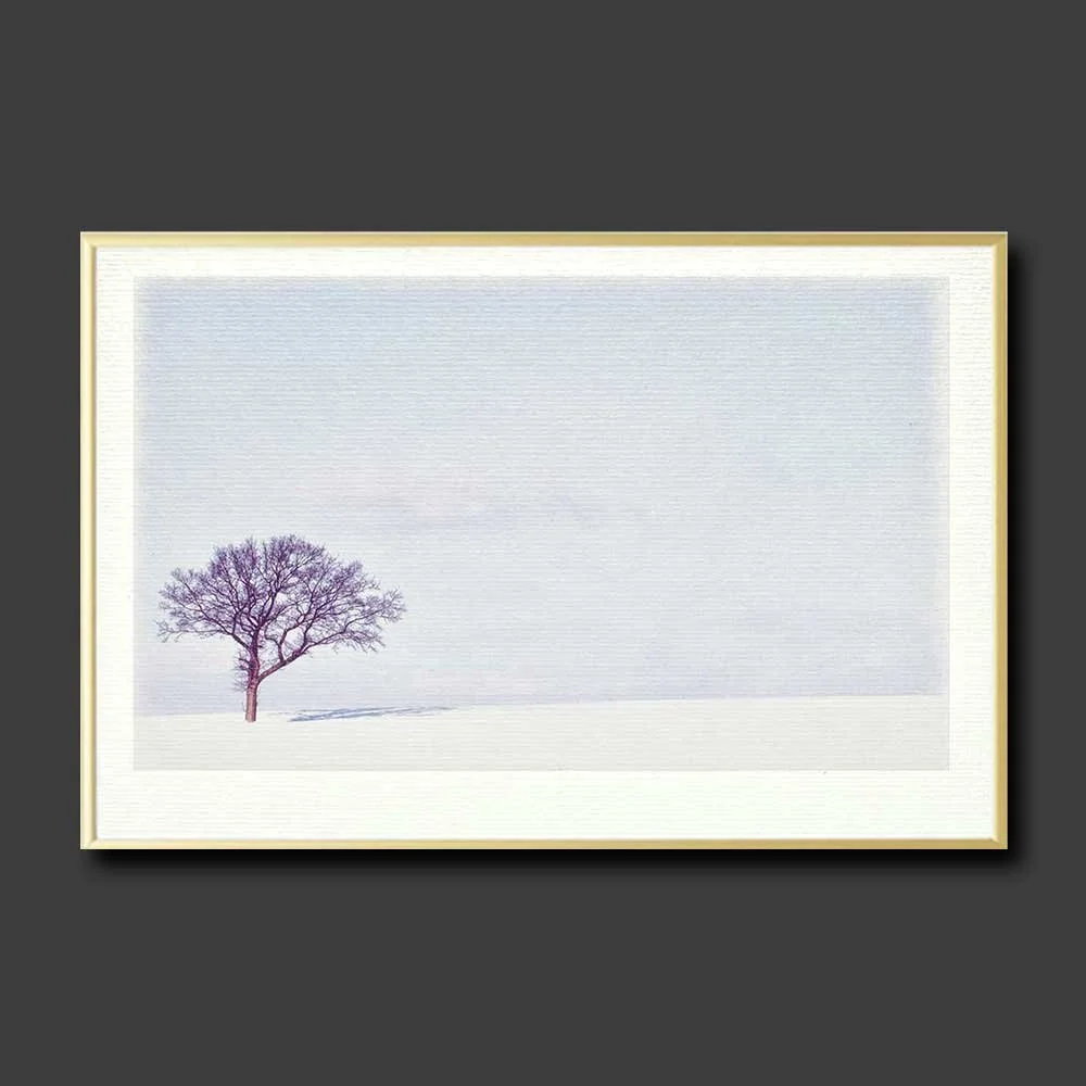 winter-shadow.jpg