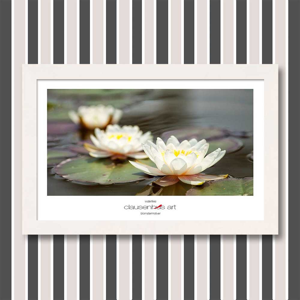 waterlilies-copy.jpg