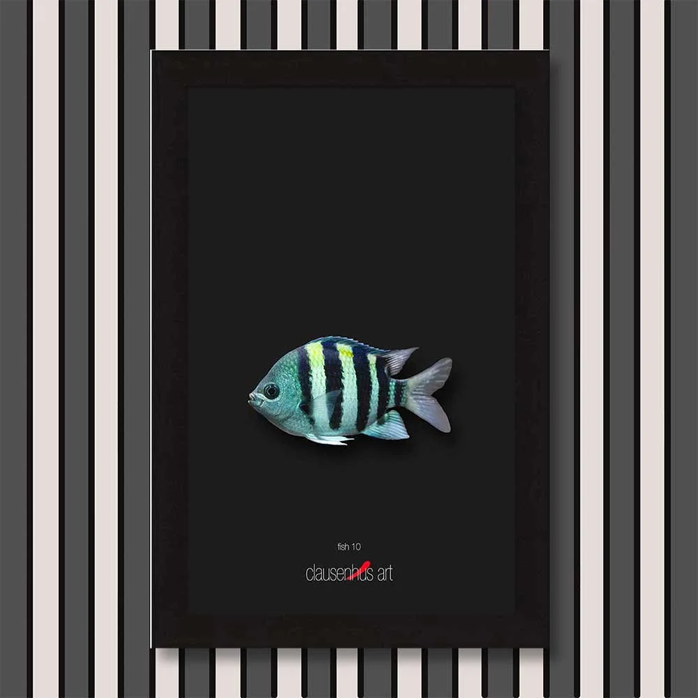 fish-10-copy.jpg