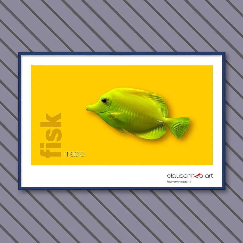 fiskemotiv-11-copy.jpg