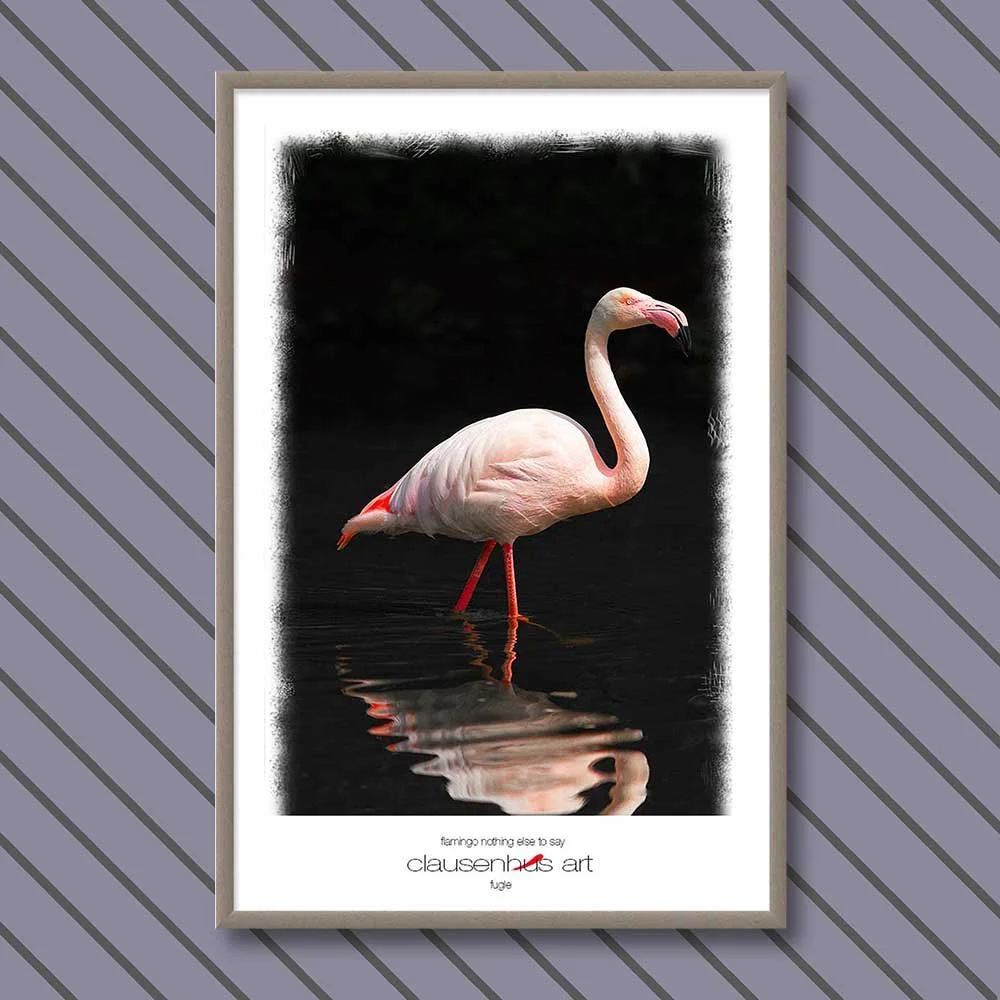 flamingo-nothing-else-to-say.jpg