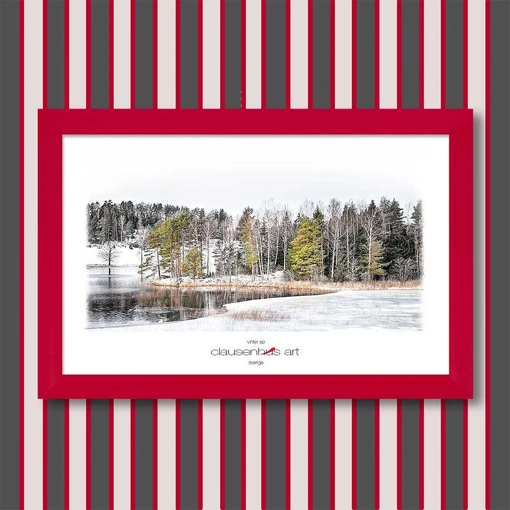 vinter-sø-copy.jpg