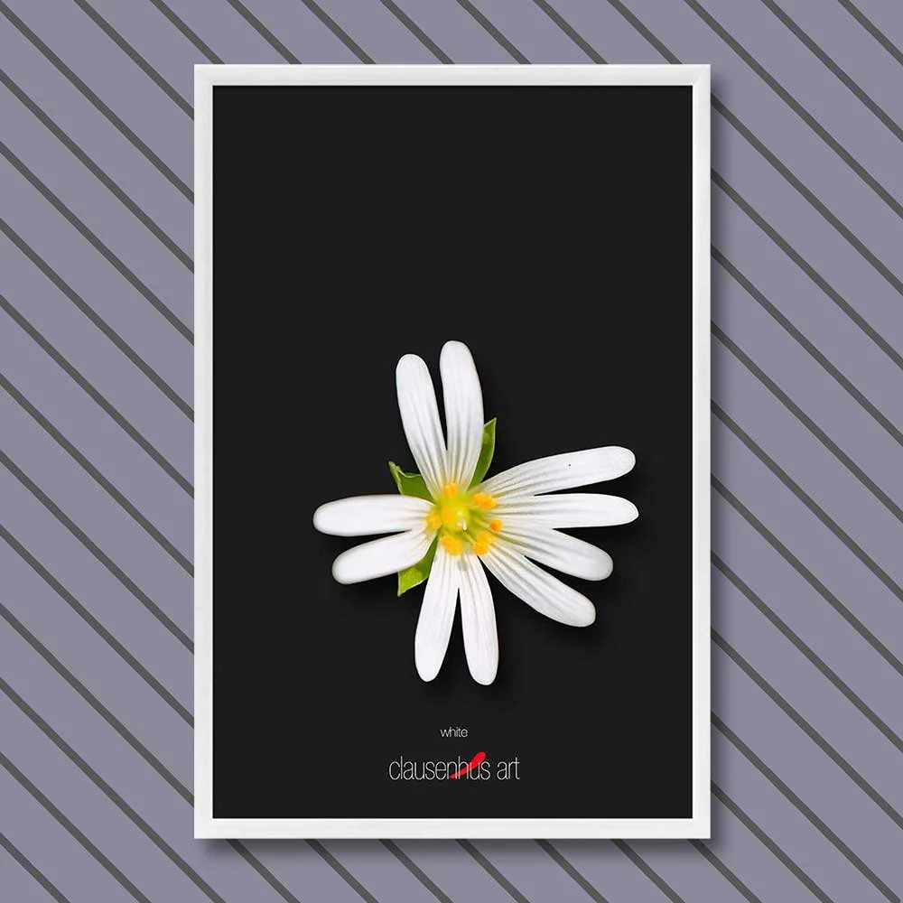 white-copy.jpg