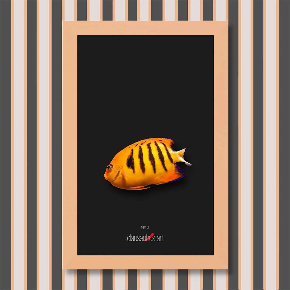 fish-8-copy.jpg