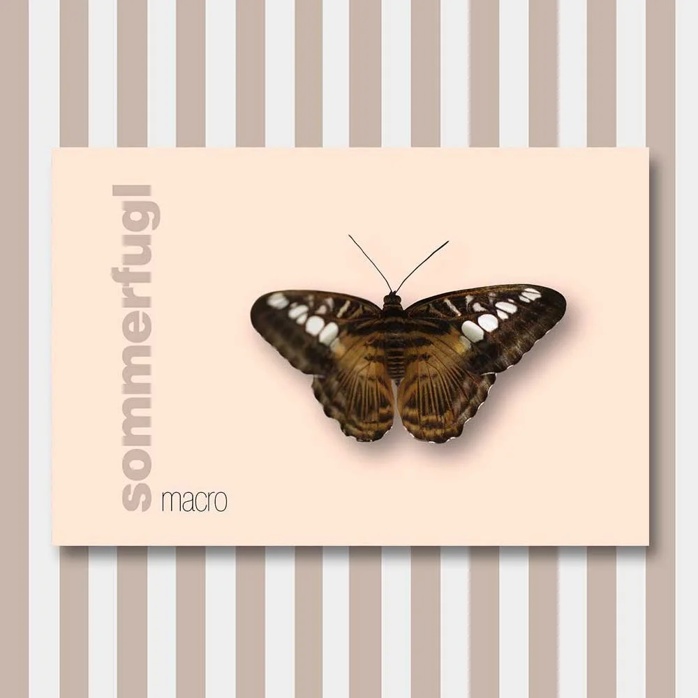 sommerfugl 13.jpg