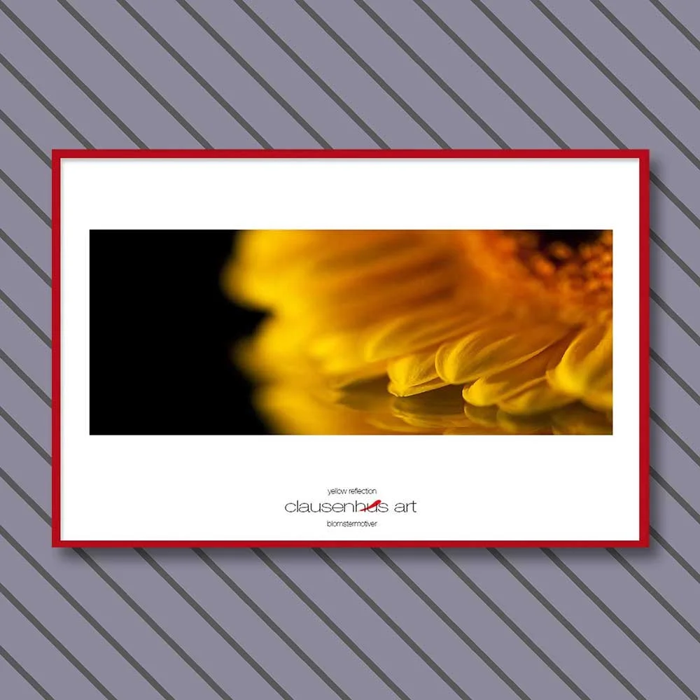 yellow-reflection-copy.jpg