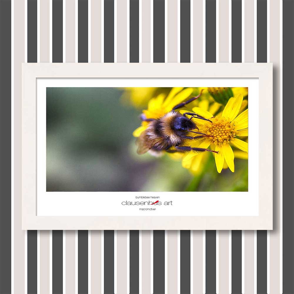 bumblebee-heaven-copy.jpg