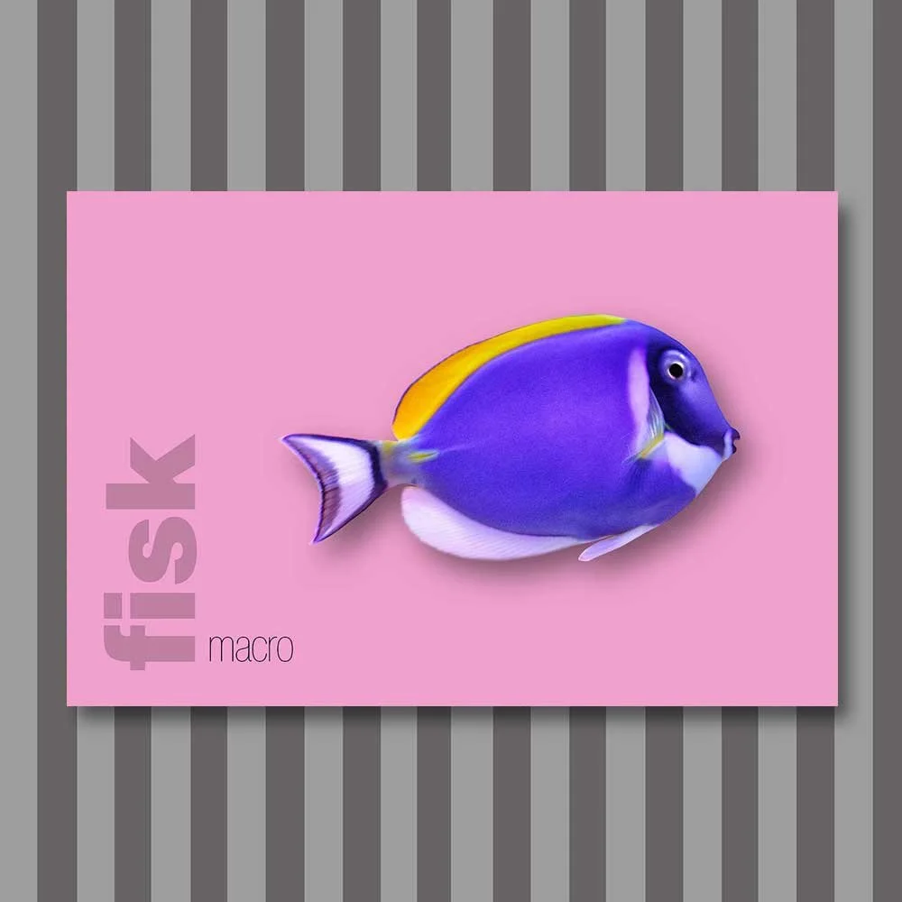 fisk-10.jpg