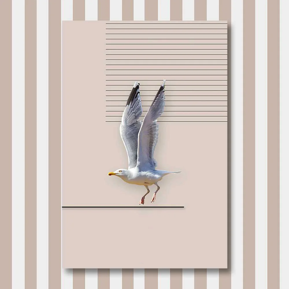 bird 12.jpg