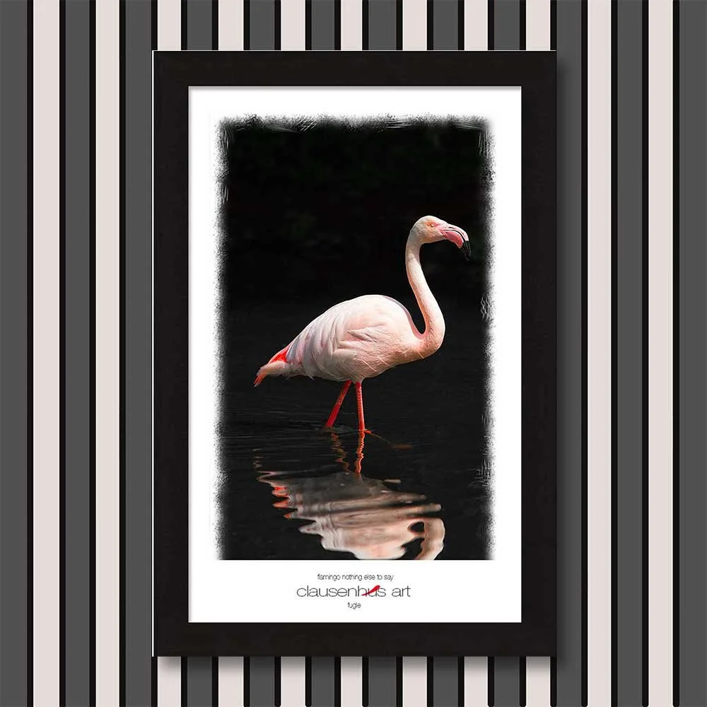 flamingo-nothing-else-to-say.jpg