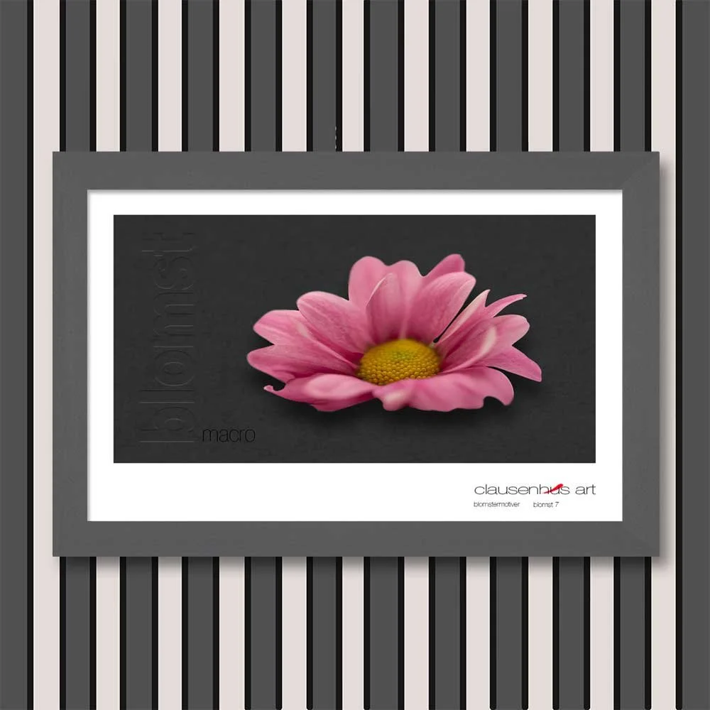 blomst-7.jpg