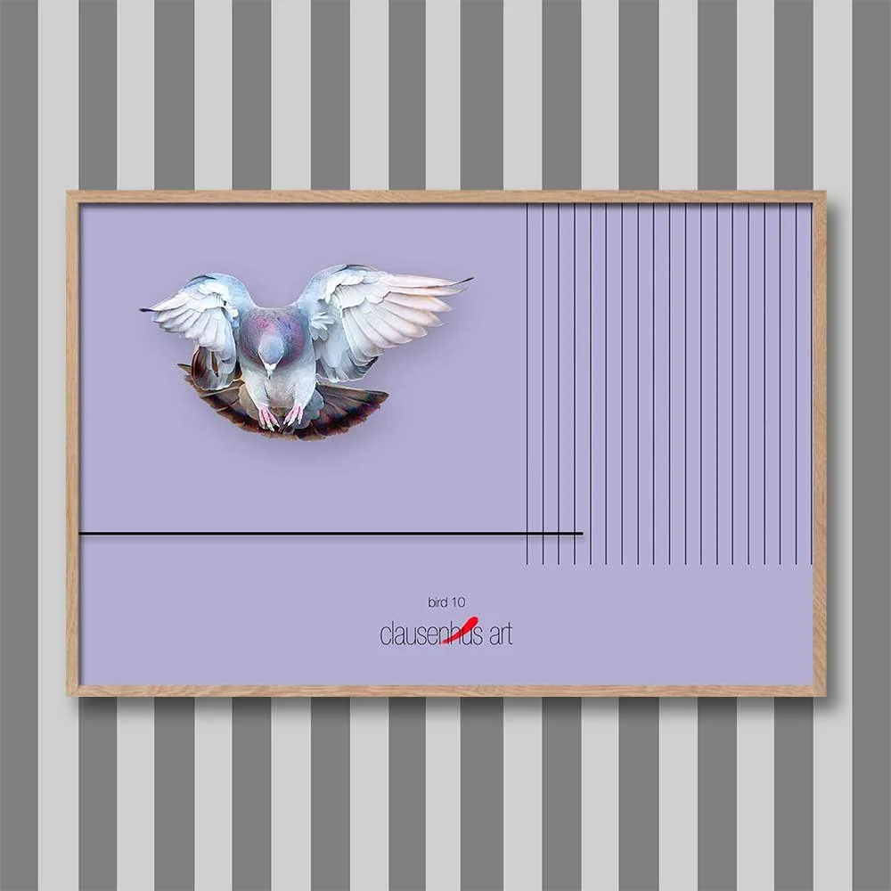 bird-10.jpg