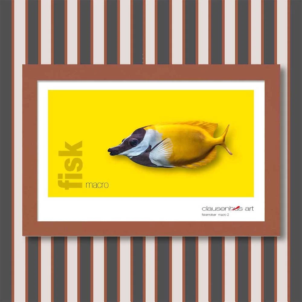 fiskemotiv-2-copy.jpg