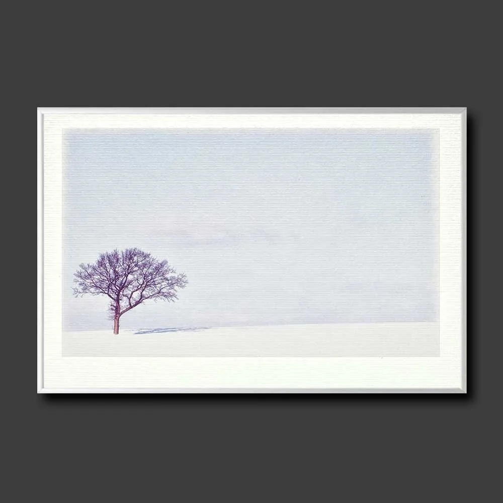 winter-shadow.jpg