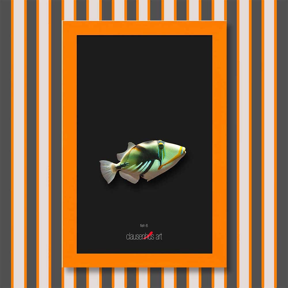fish-6-copy.jpg