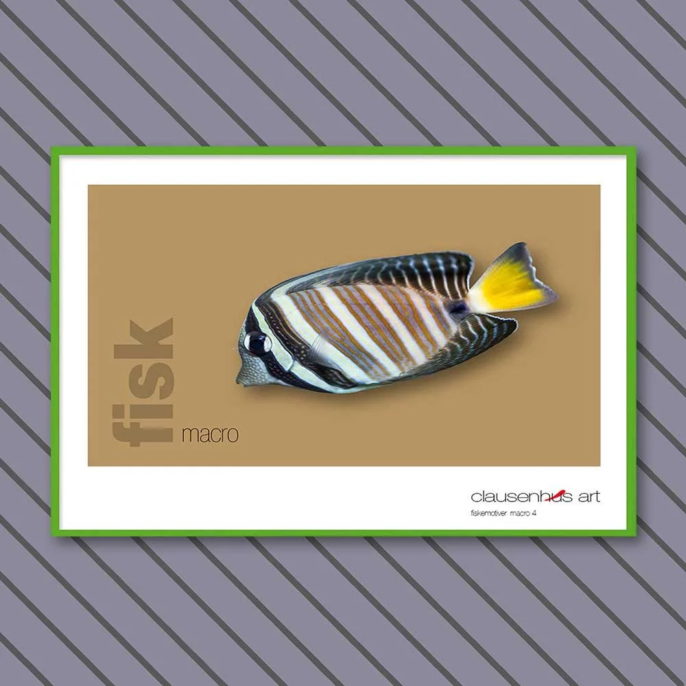 fiskemotiv-4-copy.jpg
