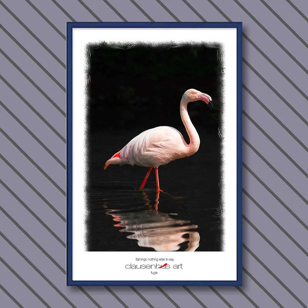 flamingo-nothing-else-to-say.jpg