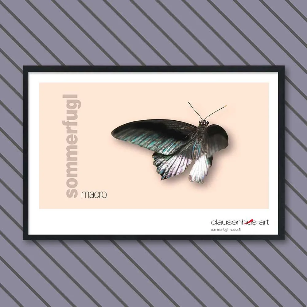 sommerfugl-5-copy.jpg