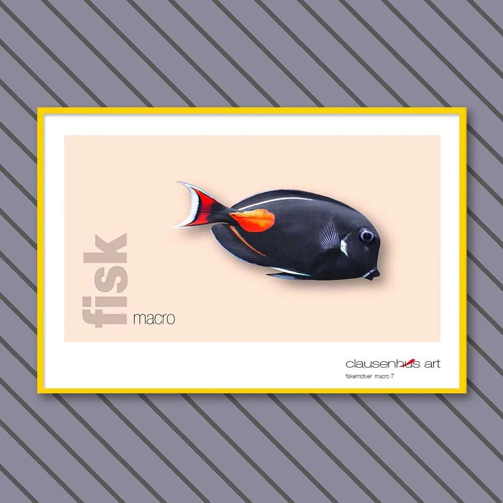 fiskemotiv-7-copy.jpg