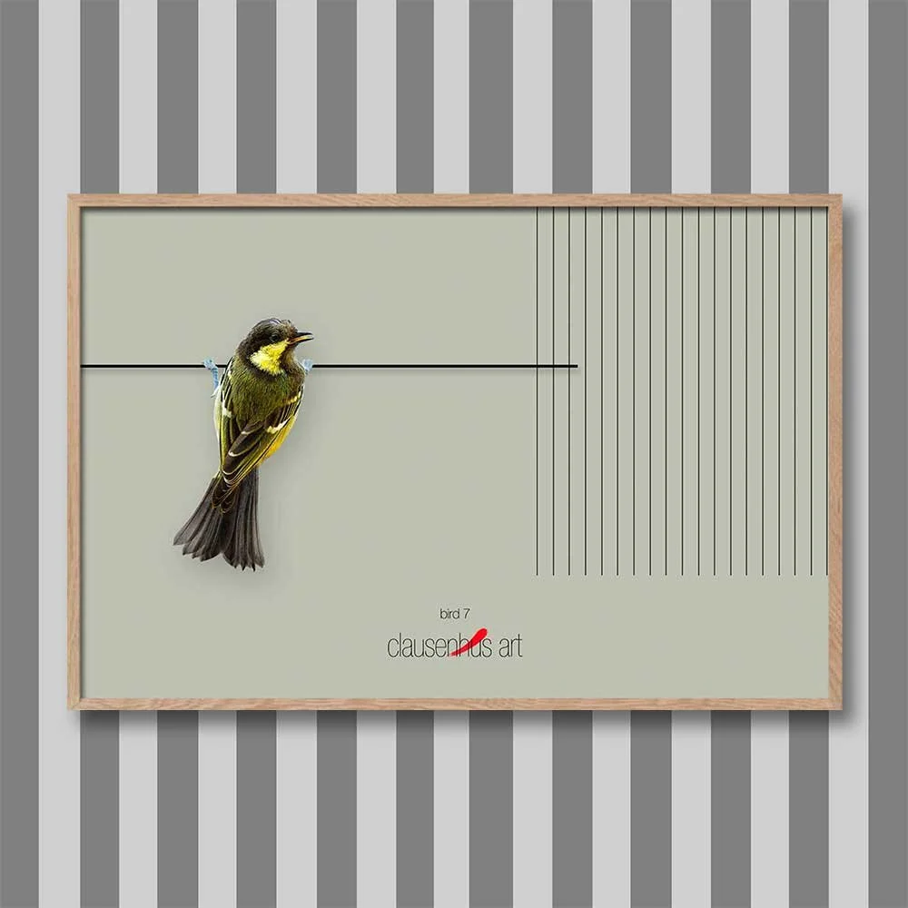 bird-7.jpg